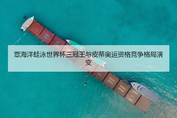 覃海洋蛙泳世界杯三冠王与皮蒂奥运资格竞争格局演变