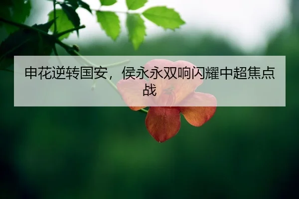 shen-hua-ni-zhuan-guo-an-hou-yong-yong-shuang-xiang-shan-yao-zhong-chao-jiao-dian-zhan-2-134.jpg