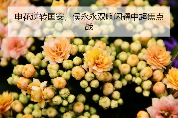申花逆转国安，侯永永双响闪耀中超焦点战