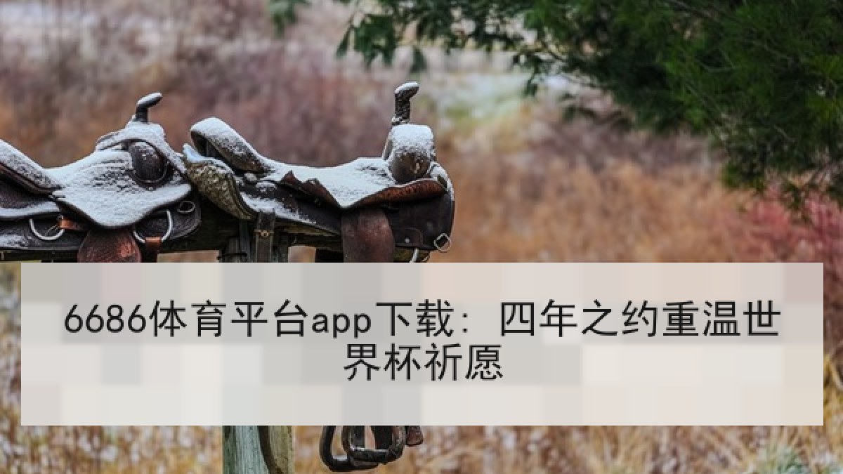 6686体育平台app下载: 四年之约重温世界杯祈愿