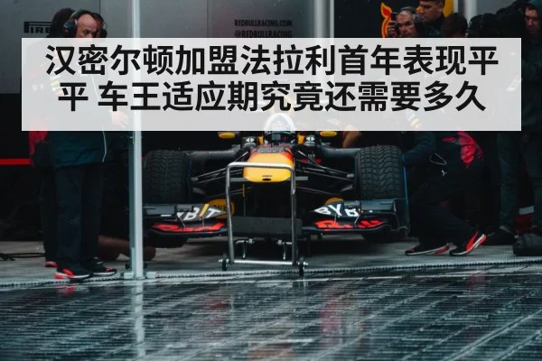 汉密尔顿加盟法拉利首年表现平平 车王适应期究竟还需要多久